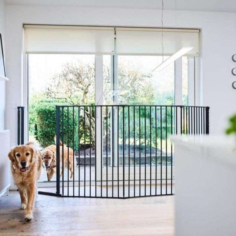 DogSpace, Rocky L, bardzo wysoka, przykręcana bramka dla psa, czarna, 90-221 cm