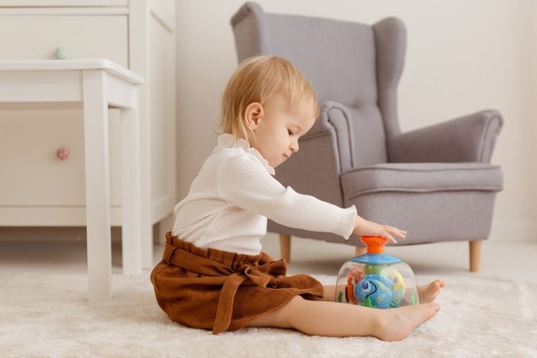 Dumel Discovery, bączek, akwarium