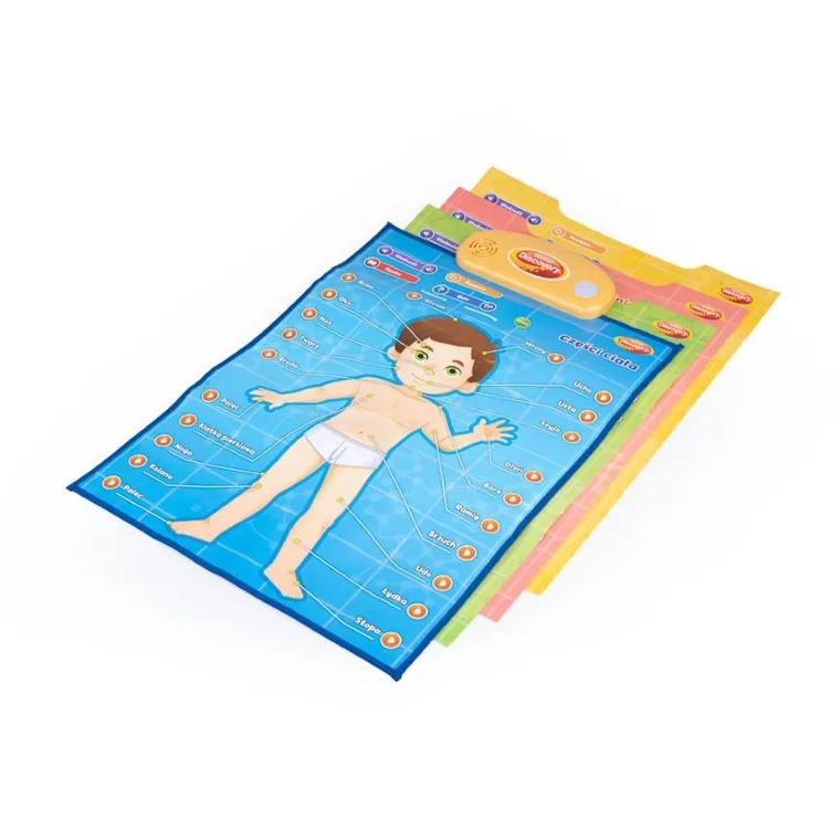 Dumel Discovery, Człowiek, edukacyjne plakaty interaktywne