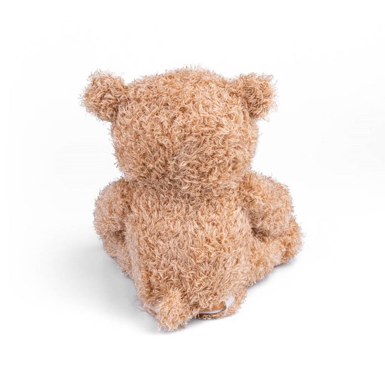 Dumel Discovery, Miś A Kuku, maskotka interaktywna