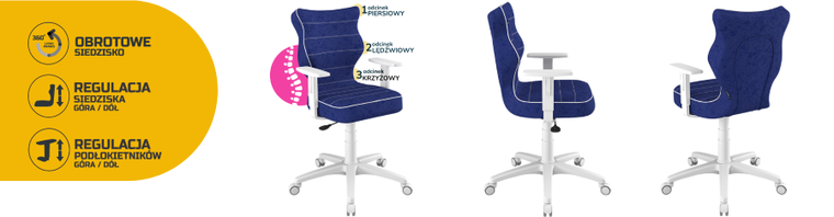 Entelo, Duo, krzesło biurowe z podłokietnikami, wzrost 159-188 cm, niebieskie