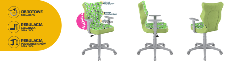 Entelo, Duo, krzesło biurowe z podłokietnikami, wzrost 159-188 cm, piłki