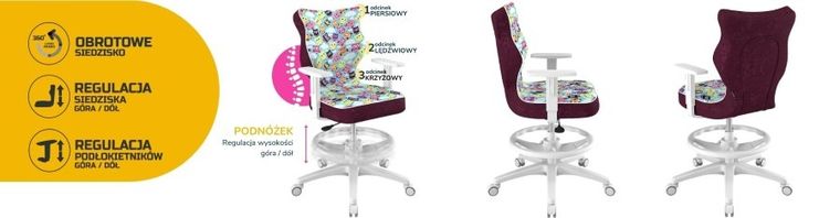 Entelo, Duo, krzesło biurowe z podnóżkiem i podłokietnikami, wzrost 159-188 cm, sowy