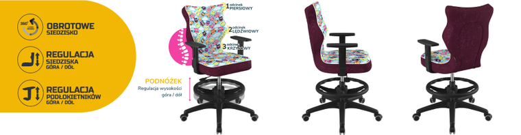 Entelo, Duo, krzesło biurowe z podnóżkiem i podłokietnikami, wzrost 159-188 cm, sowy