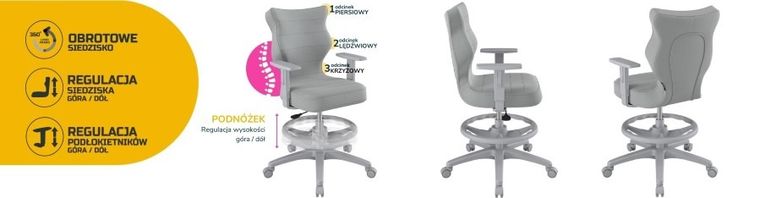 Entelo, Duo, krzesło biurowe z podnóżkiem i podłokietnikami, wzrost 159-188 cm, szare