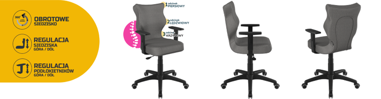 Entelo, Duo, krzesło młodzieżowe z podłokietnikami, wzrost 146-176,5 cm, ciemno szare