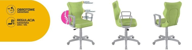 Entelo, Norm, krzesło biurowe z podłokietnikami, wzrost 159-188 cm, zielone