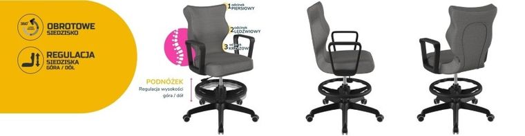 Entelo, Norm, krzesło biurowe z podnóżkiem i podłokietnikami, wzrost 159-188 cm, ciemno szare