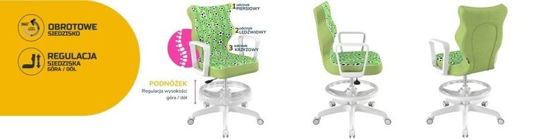 Entelo, Norm, krzesło biurowe z podnóżkiem i podłokietnikami, wzrost 159-188 cm, piłki