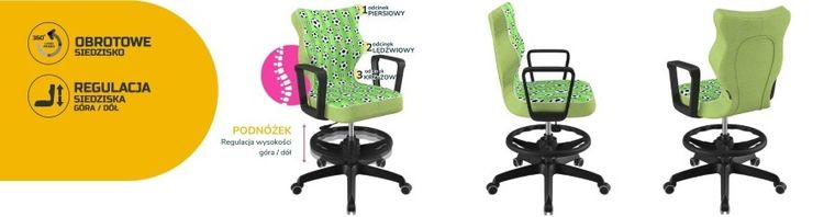 Entelo, Norm, krzesło biurowe z podnóżkiem i podłokietnikami, wzrost 159-188 cm, piłki