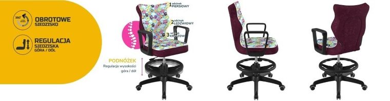 Entelo, Norm, krzesło biurowe z podnóżkiem i podłokietnikami, wzrost 159-188 cm, sowy