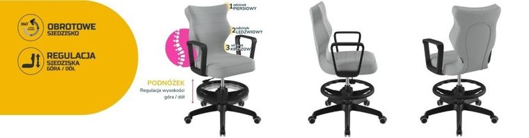 Entelo, Norm, krzesło biurowe z podnóżkiem i podłokietnikami, wzrost 159-188 cm, szare