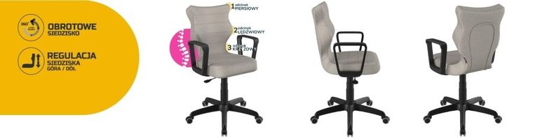 Entelo, Norm, krzesło młodzieżowe z podłokietnikami, wzrost 146-176,5 cm, szare