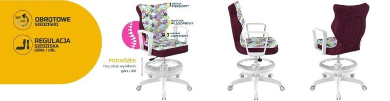 Entelo, Norm, krzesło młodzieżowe z podnóżkiem i podłokietnikami, wzrost 146-176,5 cm, sowy