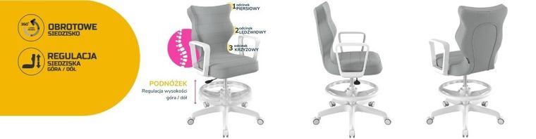 Entelo, Norm, krzesło młodzieżowe z podnóżkiem i podłokietnikami, wzrost 146-176,5 cm, szare