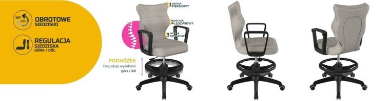 Entelo, Norm, krzesło młodzieżowe z podnóżkiem i podłokietnikami, wzrost 146-176,5 cm, szare