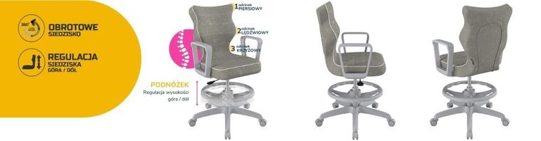 Entelo, Norm, krzesło młodzieżowe z podnóżkiem i podłokietnikami, wzrost 146-176,5 cm, szare