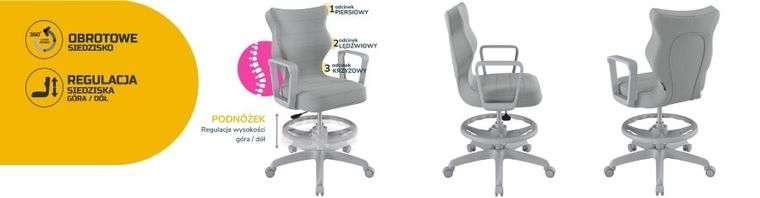 Entelo, Norm, krzesło młodzieżowe z podnóżkiem i podłokietnikami, wzrost 146-176,5 cm, szare