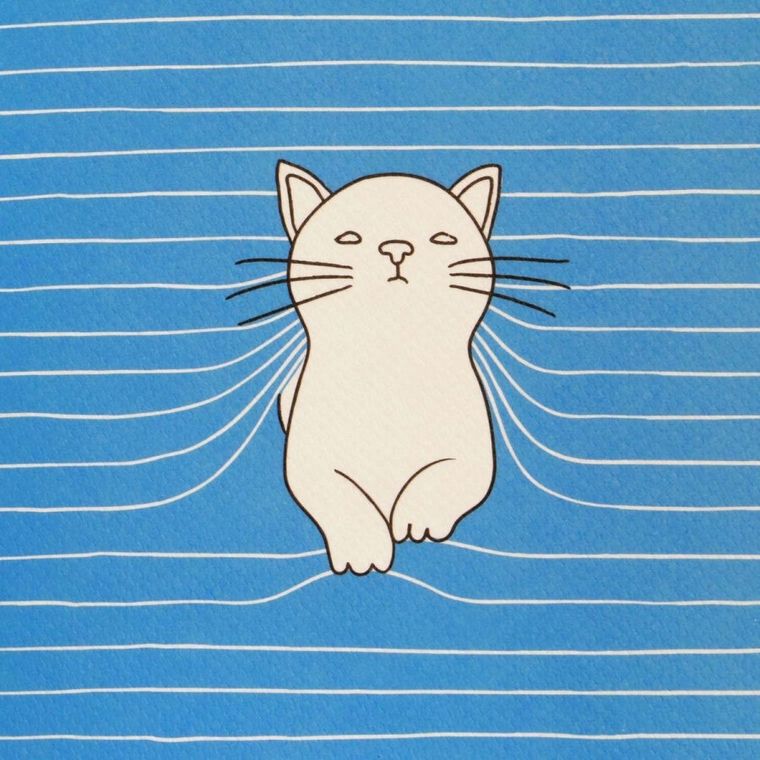 Felines, Koty, mały zeszyt, Purrrfect Place, Bold Blue, 1 szt.