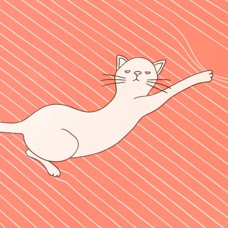 Felines, Koty, zeszyt, Asking Fur Trouble, pomarańczowy, 1 szt.