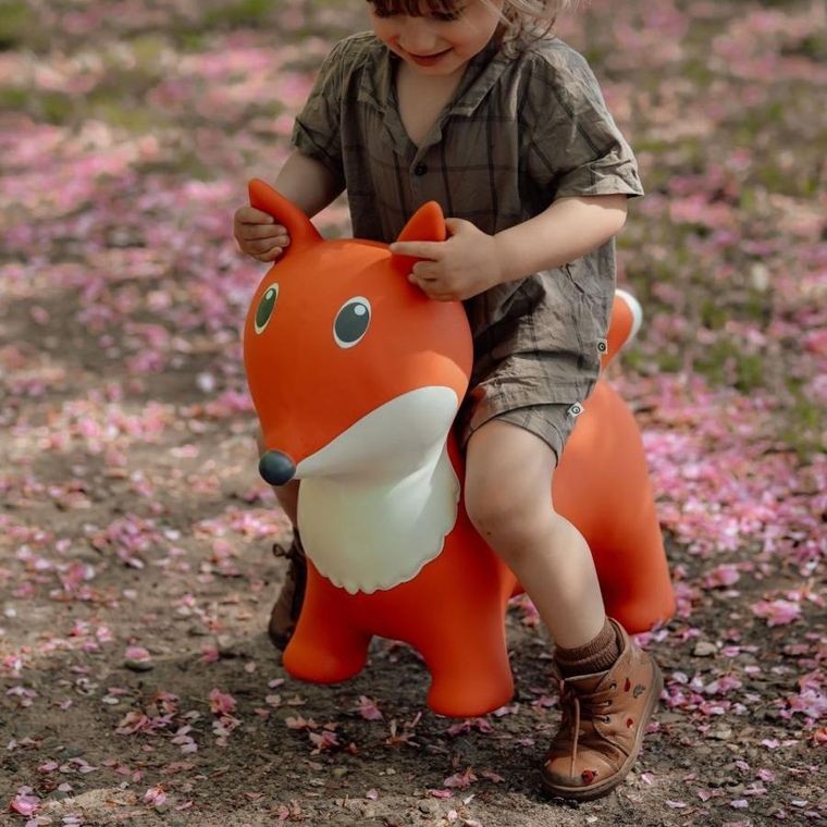 Find that Hippo, Lis, skoczek