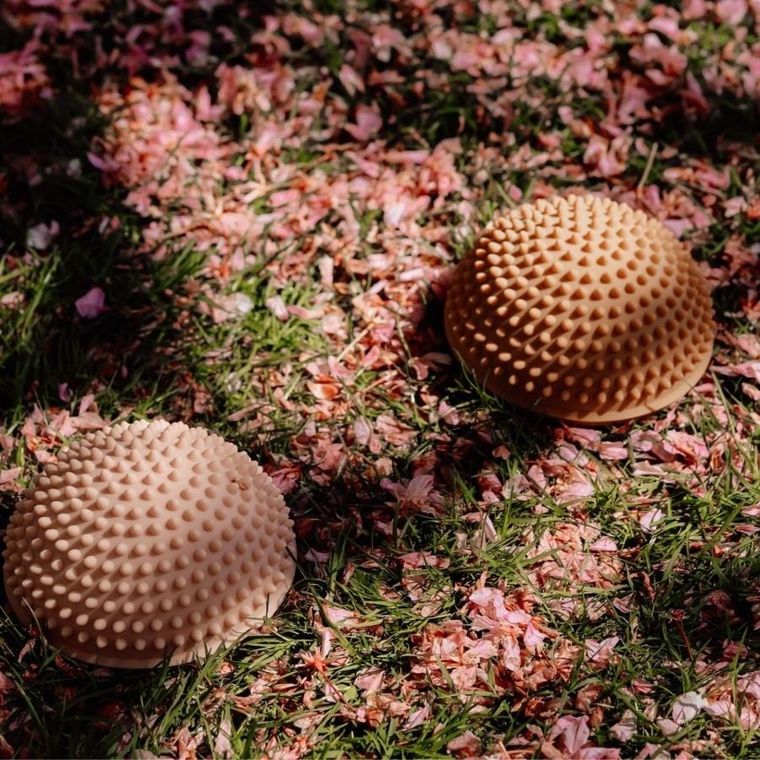 Find that Hippo, Wschód słońca, ścieżka sensoryczna