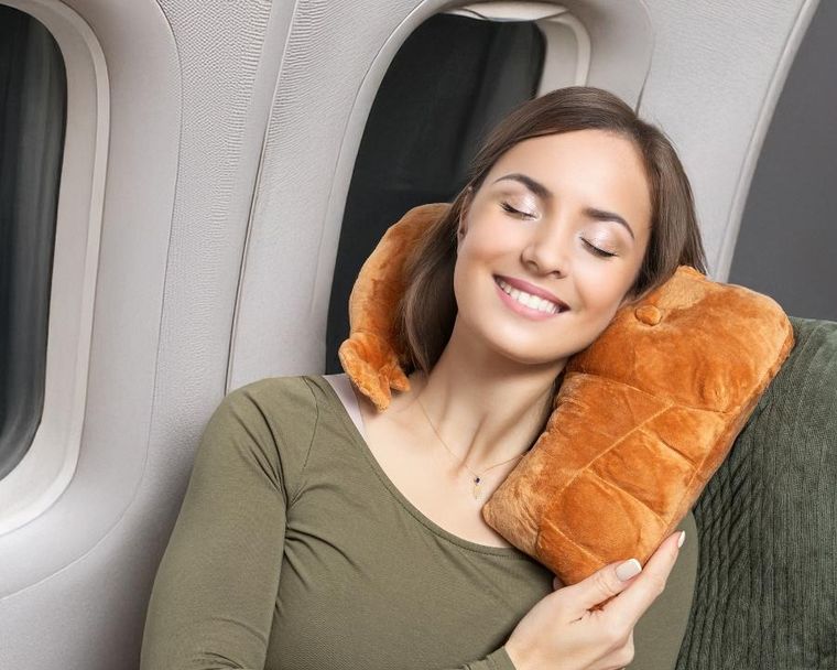 Gadget Master, podróżna poduszka, przyjaciel