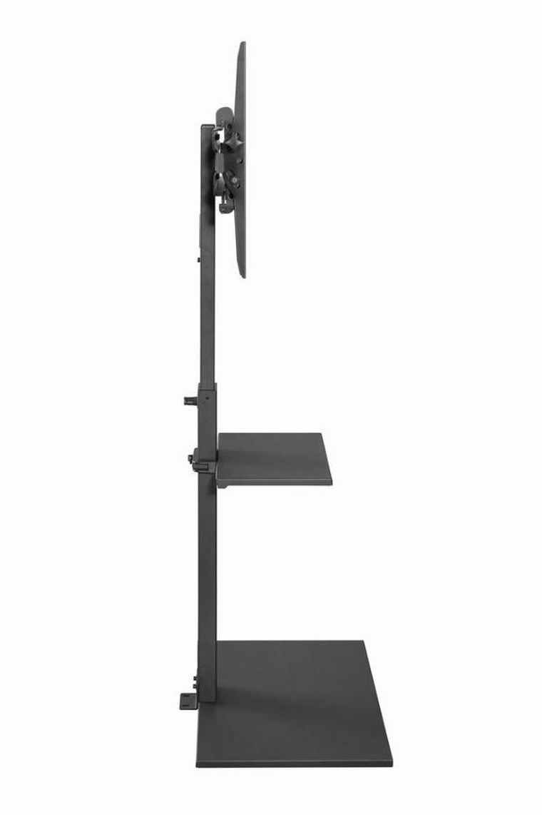 Gembird, stojak podłogowy pod telewizor, 32"-55