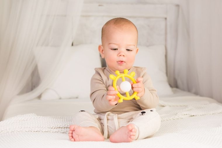 GiliGums, Jeleń, grzechotka, gryzak