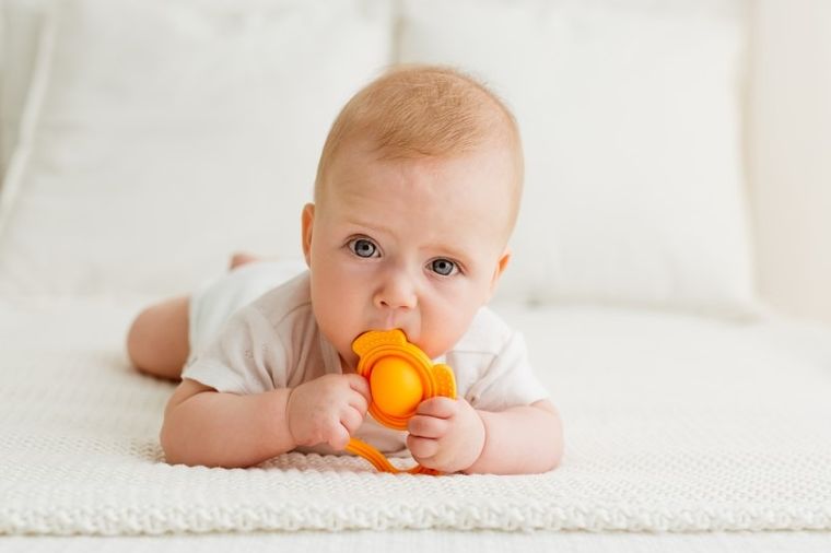 GiliGums, Piesek, Pop It, gryzak