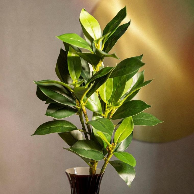 Homla, Edera, gałązka sztuczna, liście, 79 cm