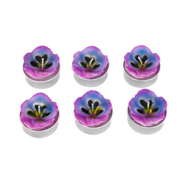 Homla, Floral Aura, zestaw świec, fiołki, 126g, 6 szt.