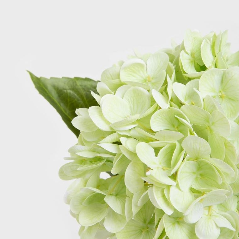 Homla, Fortens, gałązka sztuczna, hortensja, zielona, 49 cm, 739019