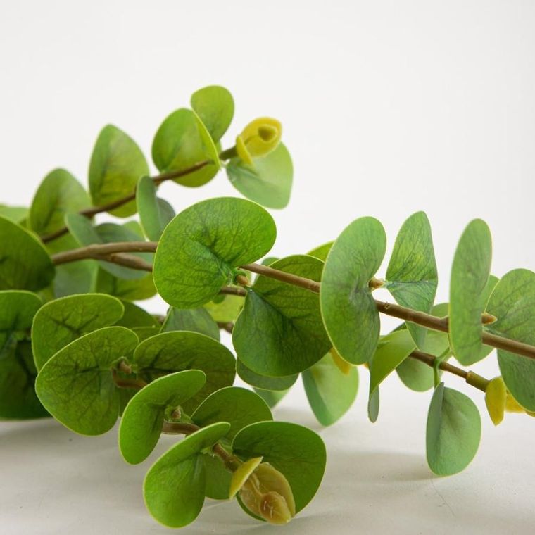 Homla, Mikso, gałązka sztuczna, liście eukaliptusa, 97 cm