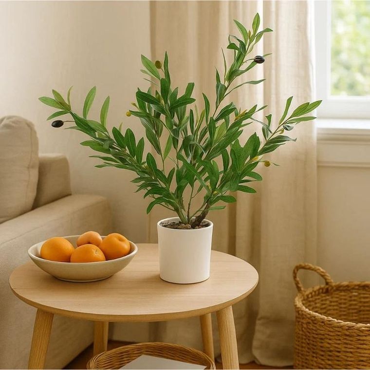 Ibergarden, dekoracyjne drzewko oliwne, 58 cm