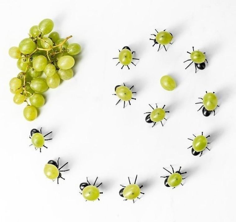 Imprezowe mrówki na przekąski