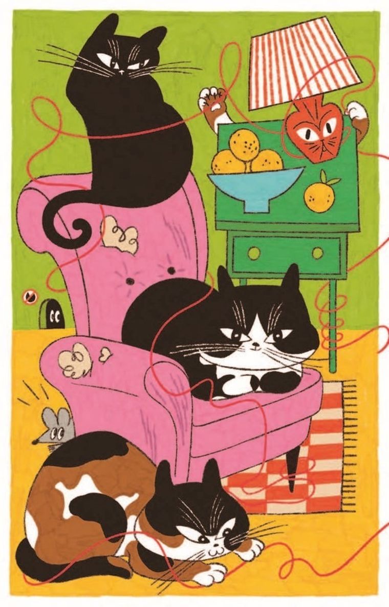 Jaką kapibarą jesteś?