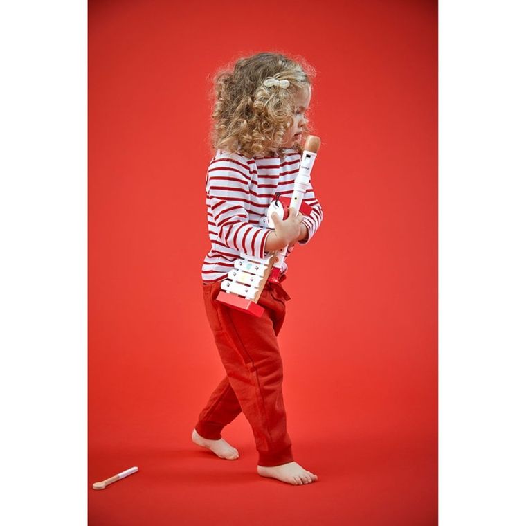 Janod, Confetti, zestaw instrumentów