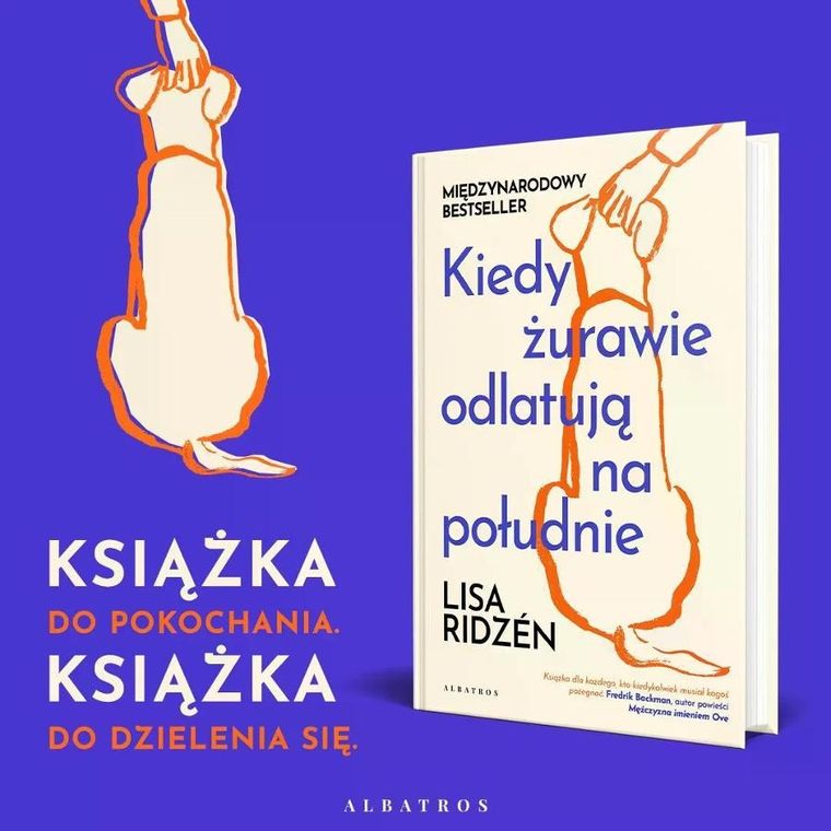 Kiedy żurawie odlatują na południe