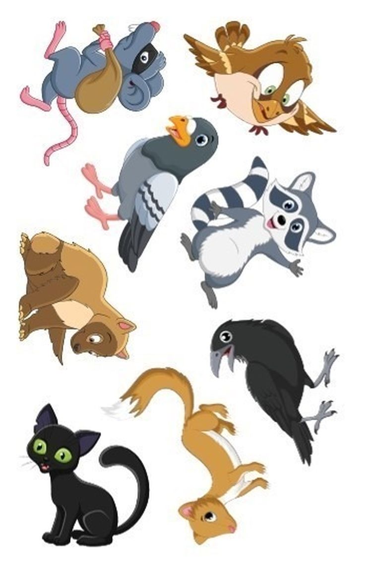 Kolorowanka z tatuażami. Zwierzęta miejskie