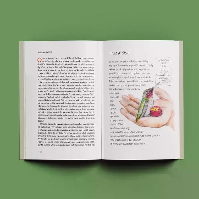 Kroniki ptaków z podwórka