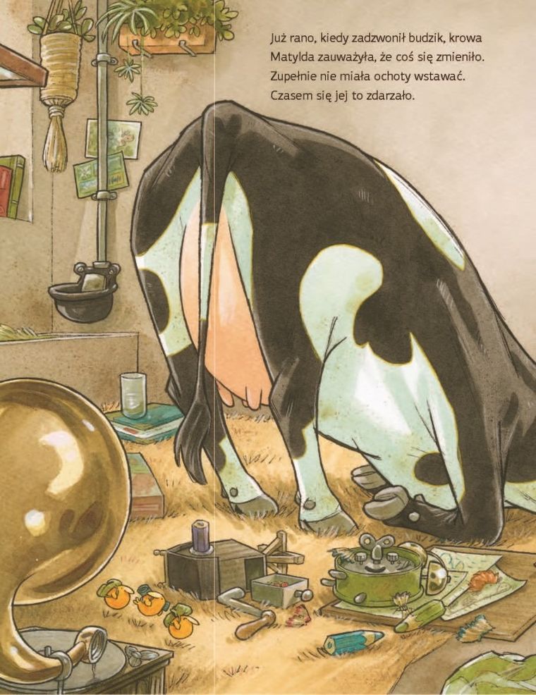 Krowa Matylda jest nie w humorze