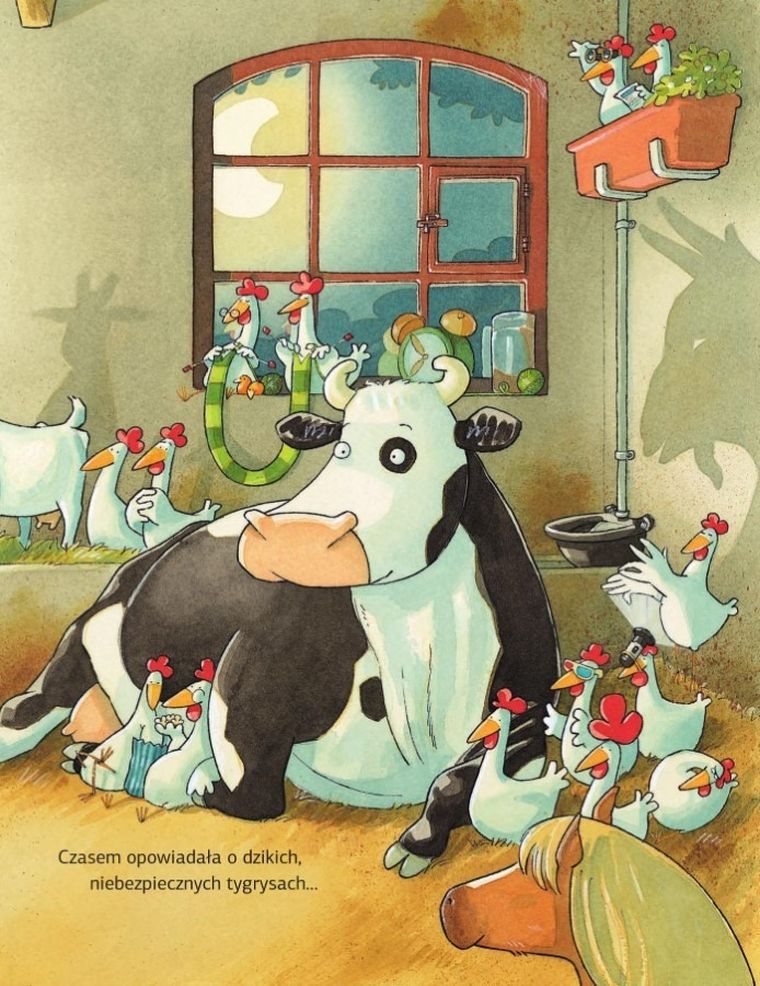 Krowa Matylda nie może zasnąć