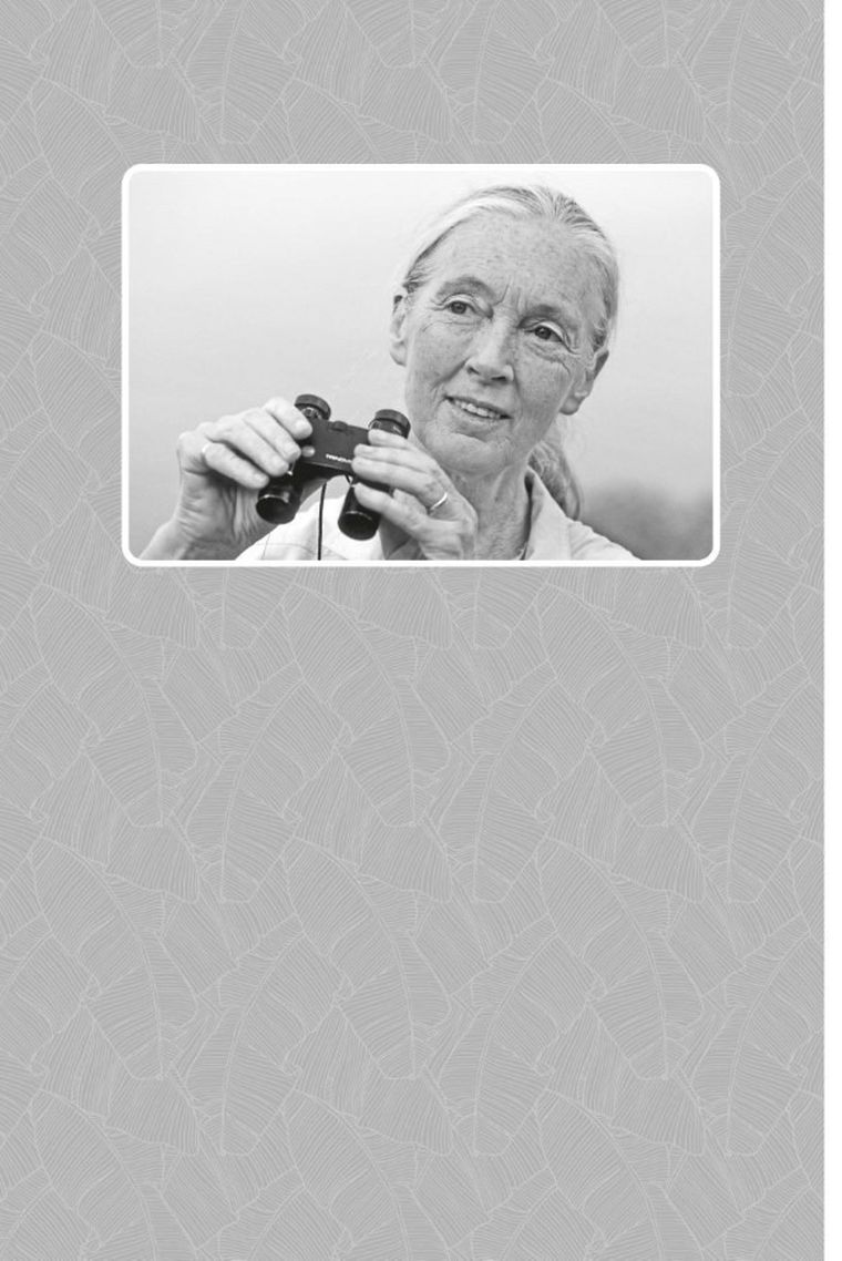 Księga nadziei. Poradnik przetrwania