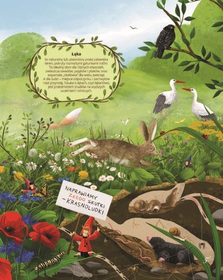 Łąka. Fakty, wierszyki i inne wybryki