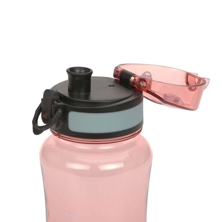 Lassig, About Friends, zestaw na lunch: lunchbox + tritanowa butelka, lis, 460 ml