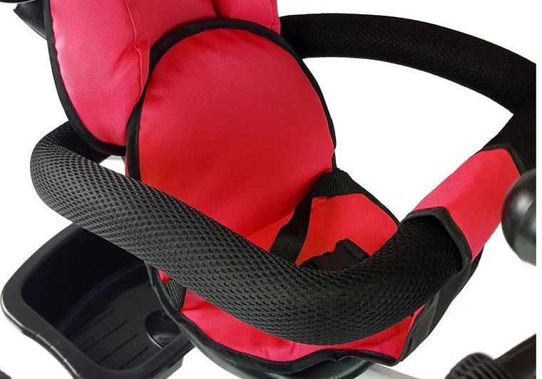 Lean Toys, rower trójkołowy, PRO300, czerwony