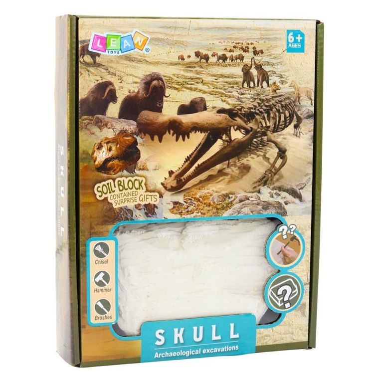 Lean Toys, wykopaliska czaszek, zestaw archeologiczny