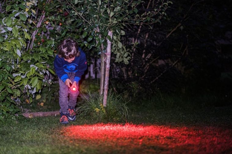 Ledlenser, latarka dziecięca, Kidled4R, Dinozaury