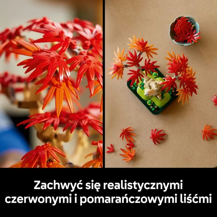 LEGO Botanicals, Klon palmowy bonsai, 10348